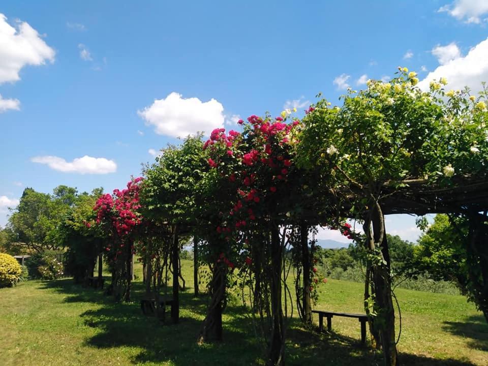 Locanda Rosati Orvieto Exteriér fotografie