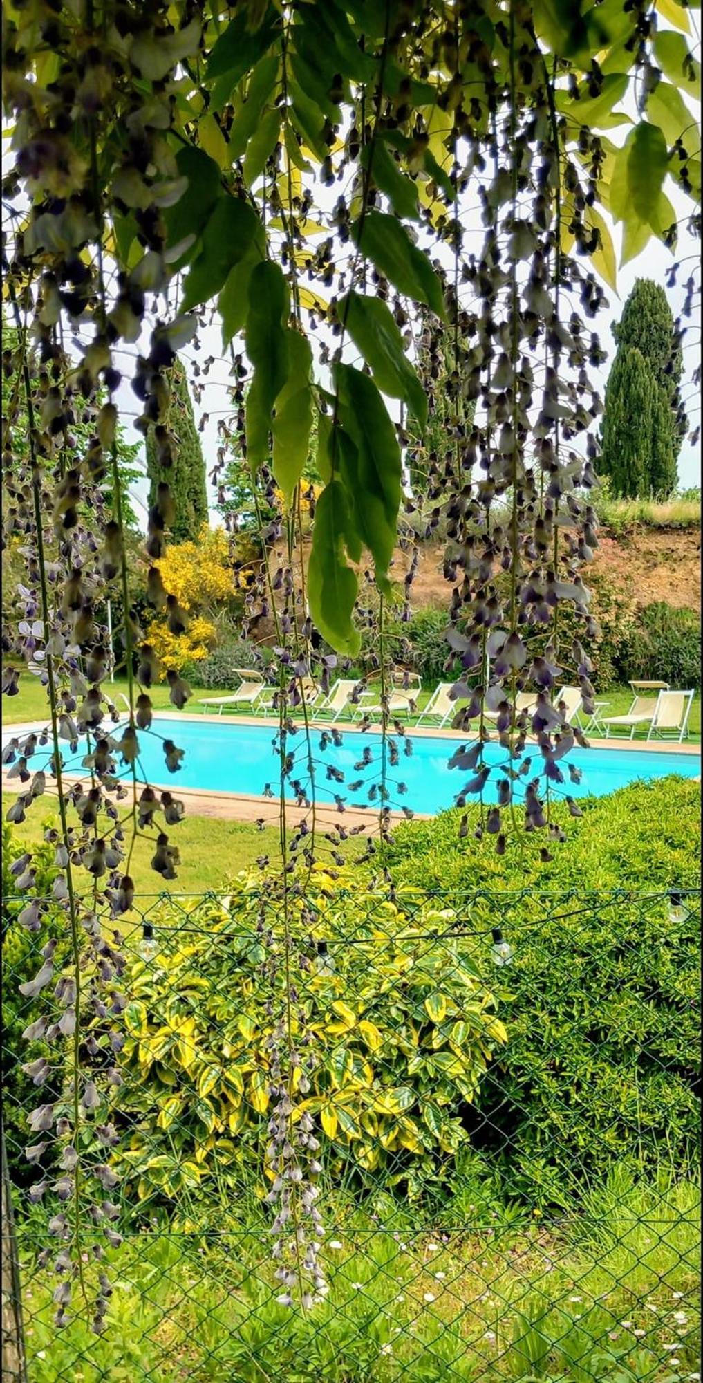 Locanda Rosati Orvieto Exteriér fotografie